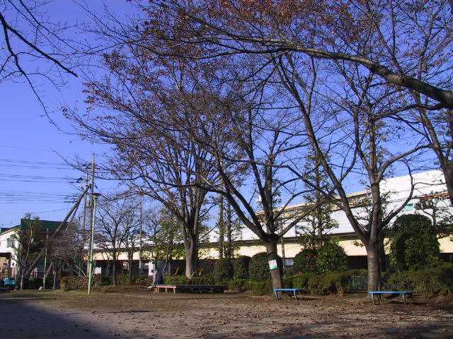 谷塚西沼田公園樹木